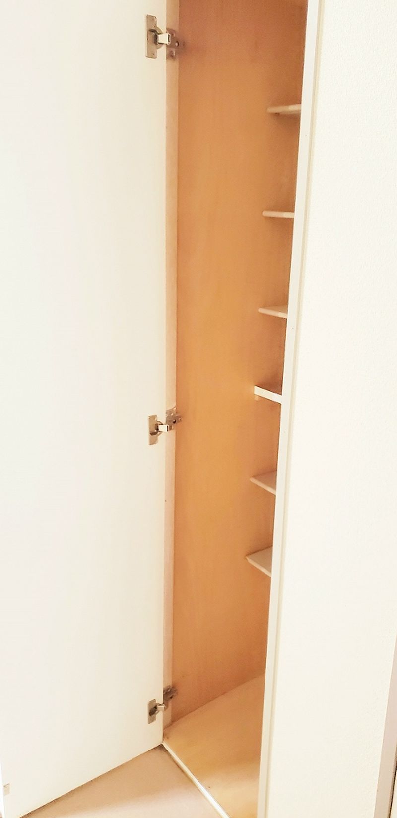 レオパレスブルースカイⅢ 玄関