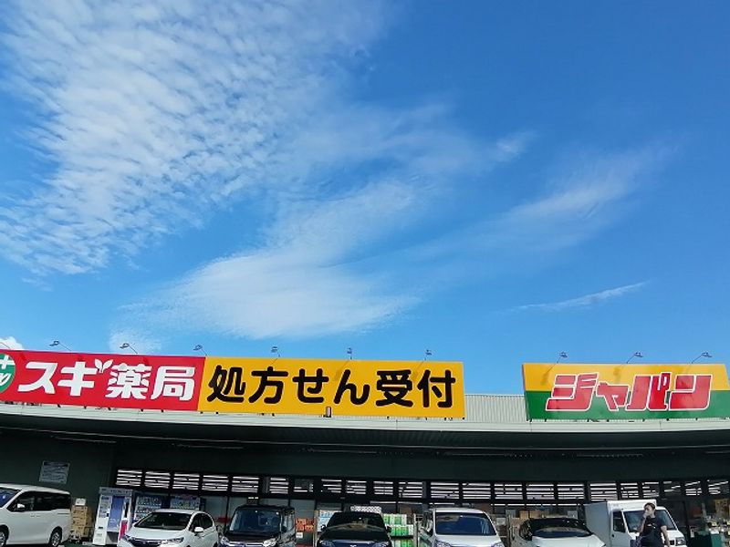 レオネクストルシェリア 周辺環境