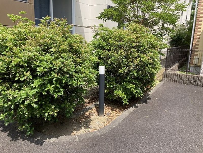 レオパレスシャイン清栄 庭
