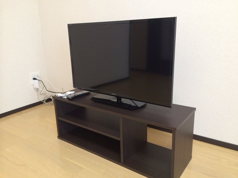レオネクスト東たつみⅡ その他設備