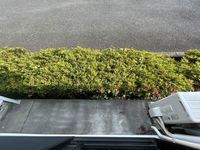 レオパレスミュウ バルコニー