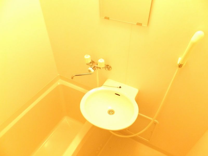 レオネクストメゾン　ソレーユ 洗面所