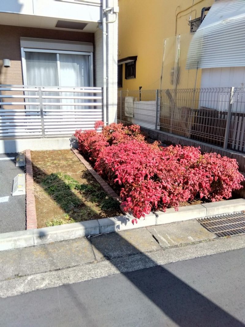クレイノＴｅｒａ 眺望
