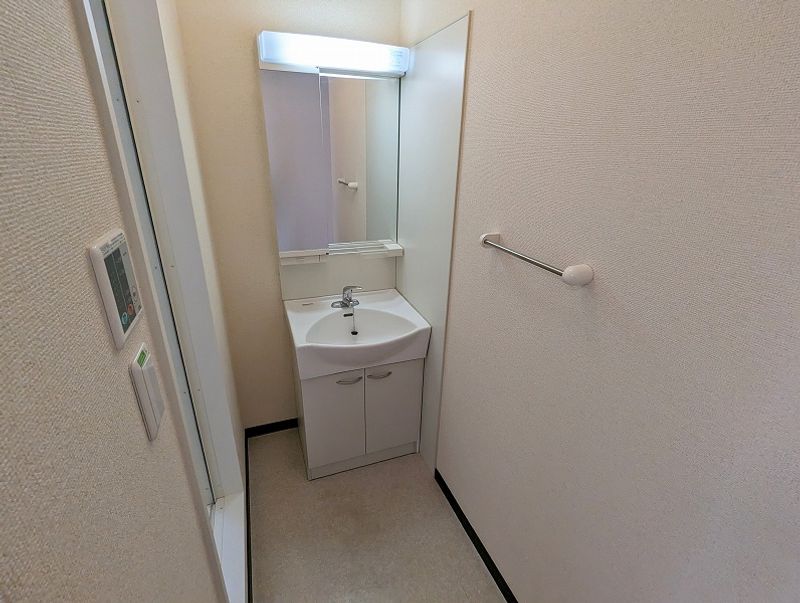 レオネクストお茶屋口 洗面所