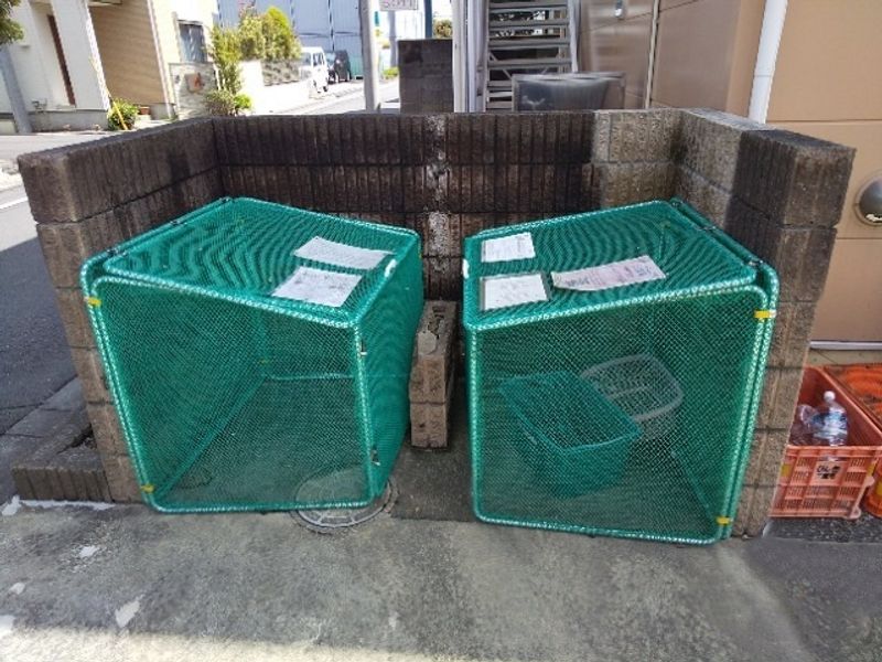 レオネクストサンルーチェ三鷹Ⅱ 共用部分