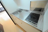 レオネクストサンモール キッチン