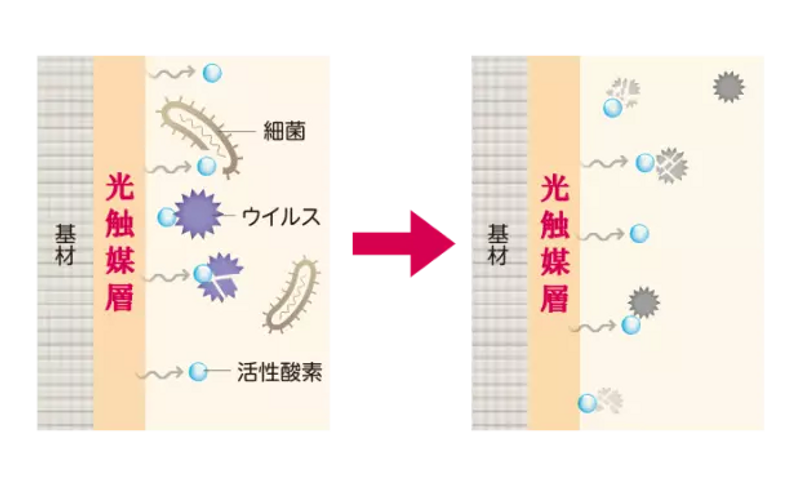 抗菌・抗ウイルス機能