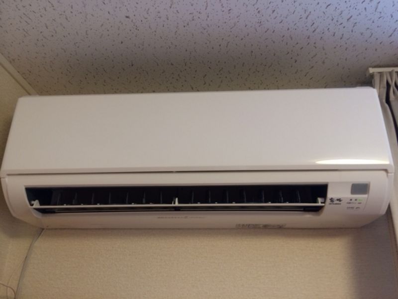 leopalace Owl 기타