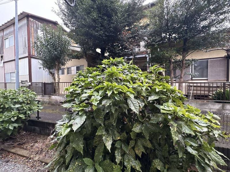 leopalace JK Clover View