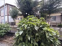 leopalace JK Clover View