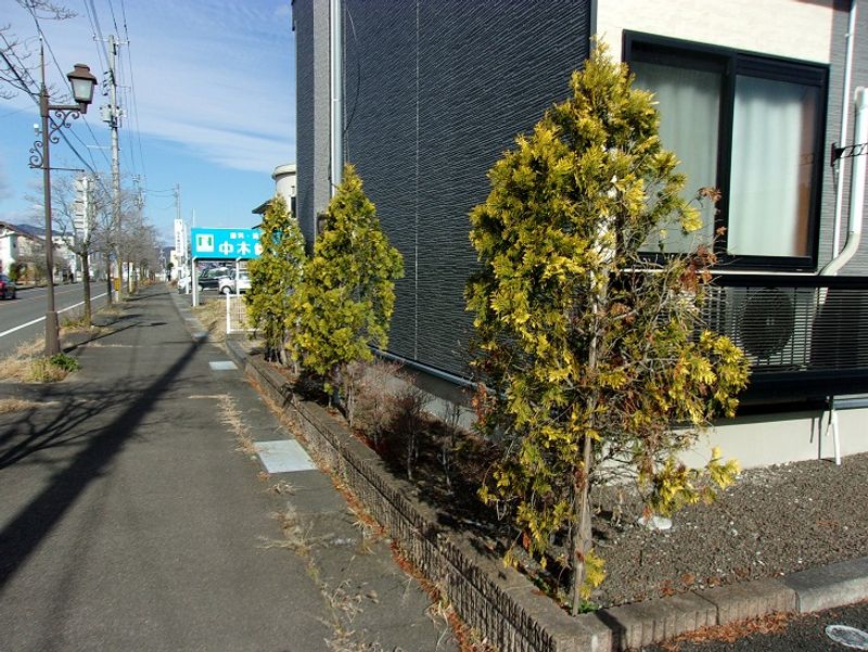 レオパレス幸町 庭