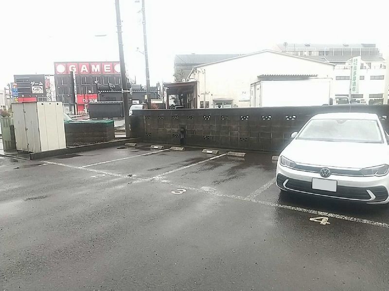 leopalace Bright 视野