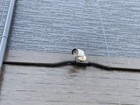 leopalace Holly 공용 부분