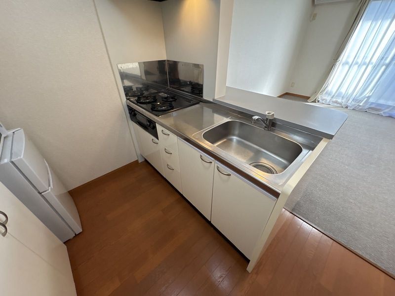 leopalace Maison Kandatsu A 주방