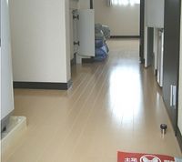 レオネクストアイ＆ロンⅡ その他