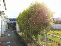 レオパレス恵比寿 その他