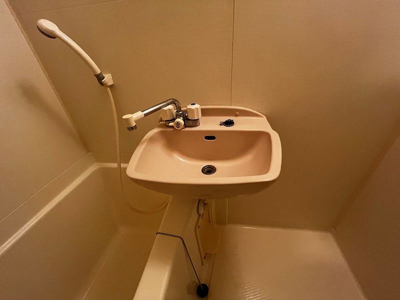 leopalace Green House V Sink