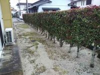 レオパレス牛島 その他