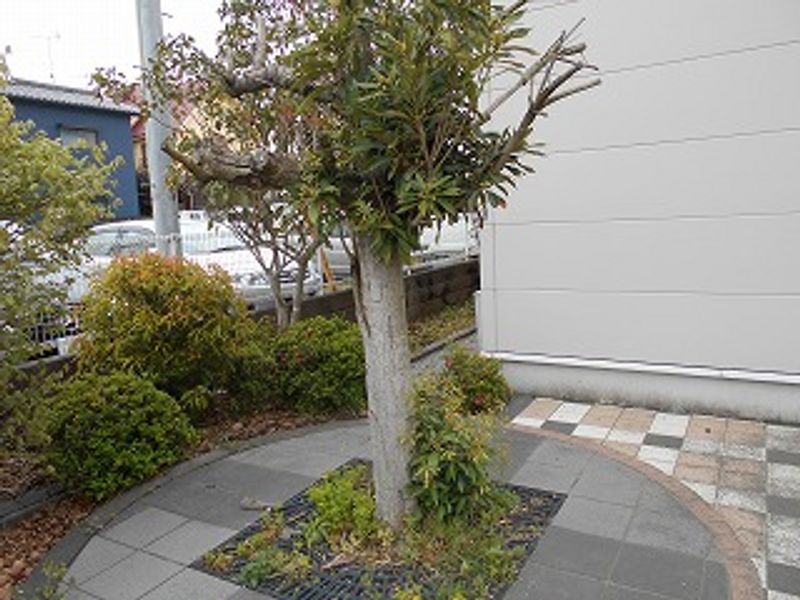 レオパレスサマーウィンドウ その他