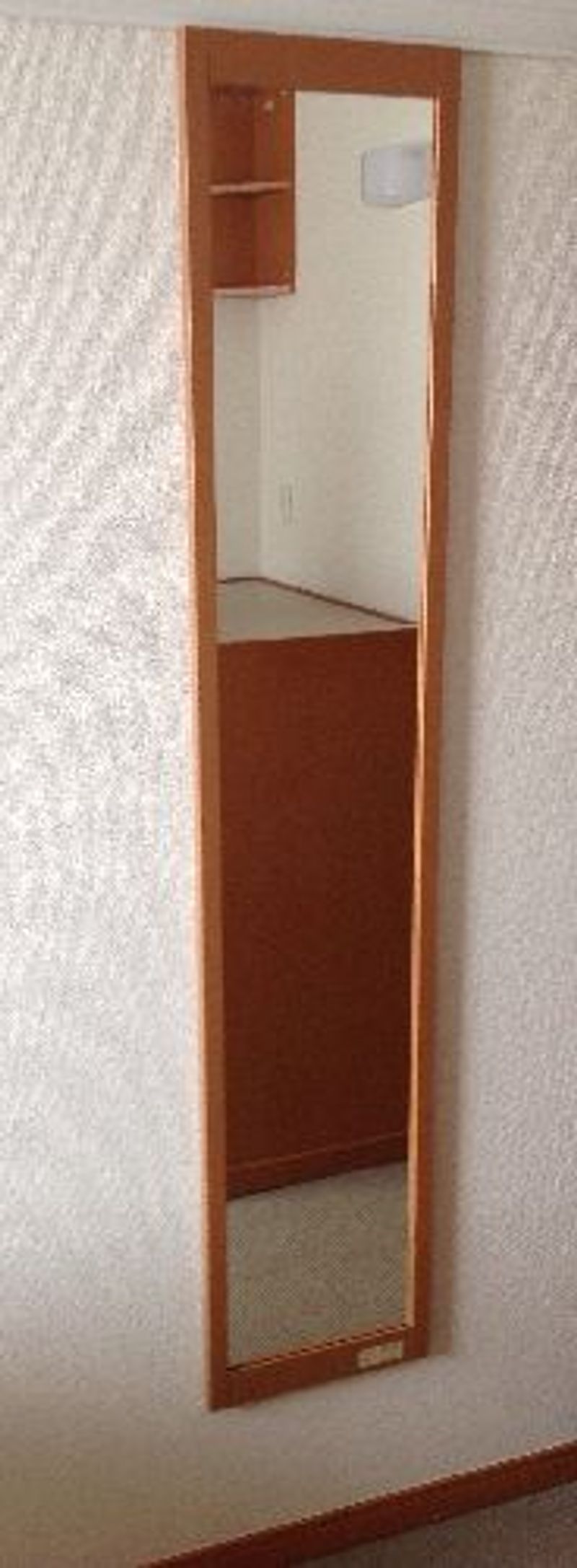 レオパレスサンシャインＭ その他