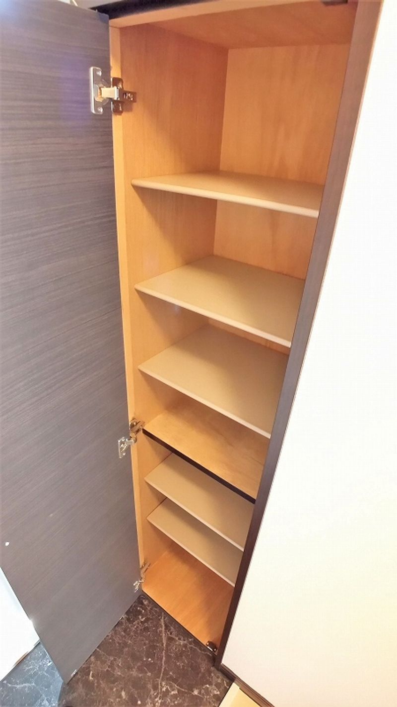 レオネクストコスモスⅡ その他