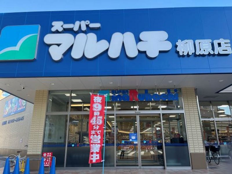 レオネクスト島上　セカンド 周辺環境