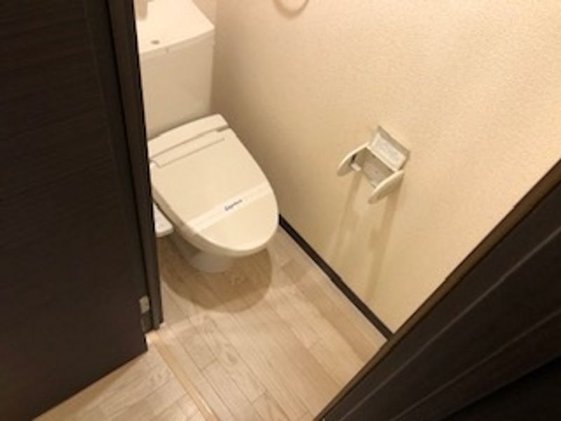 LEONEXT Nishikawara II 화장실