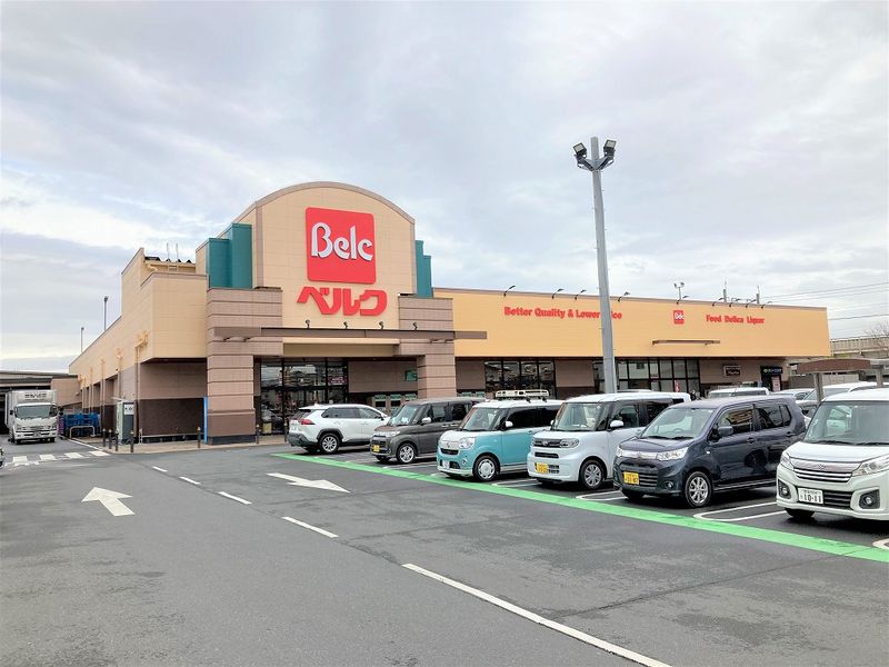 レオパレスドールパーク 周辺環境