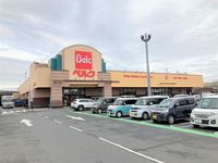 レオパレスドールパーク 周辺環境