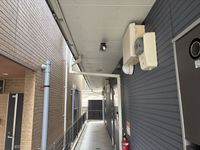 レオネクスト苅藻Ⅱ 共用部分