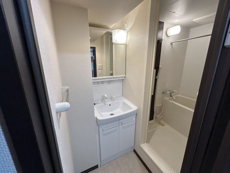 LEONEXT Chrysans Sink