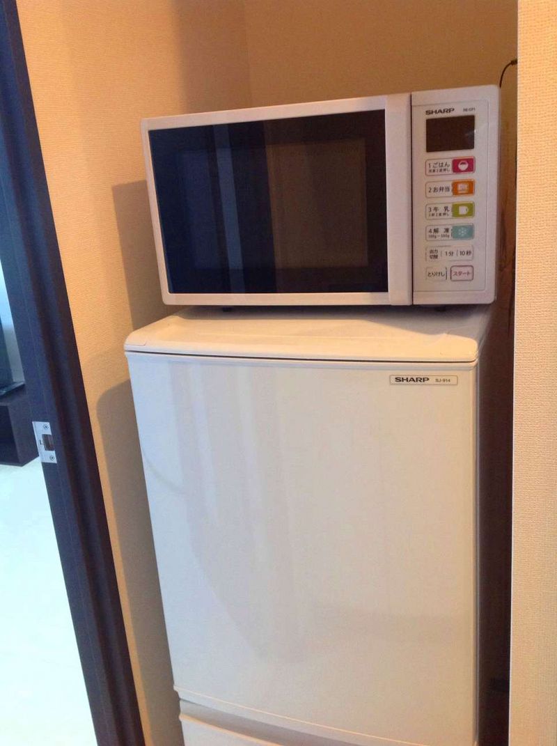 レオネクストフェリス その他