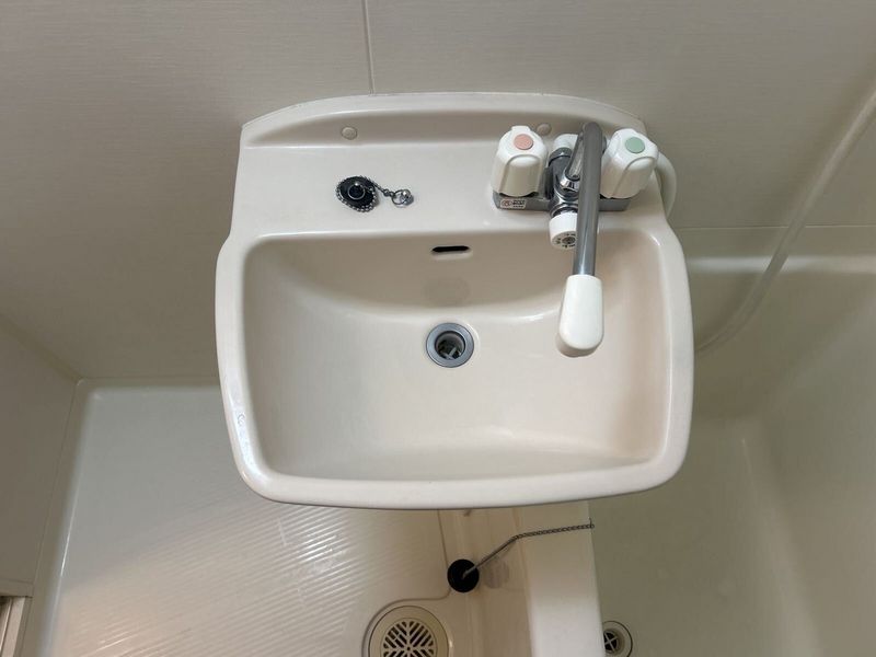 leopalace Pinus Bồn rửa mặt