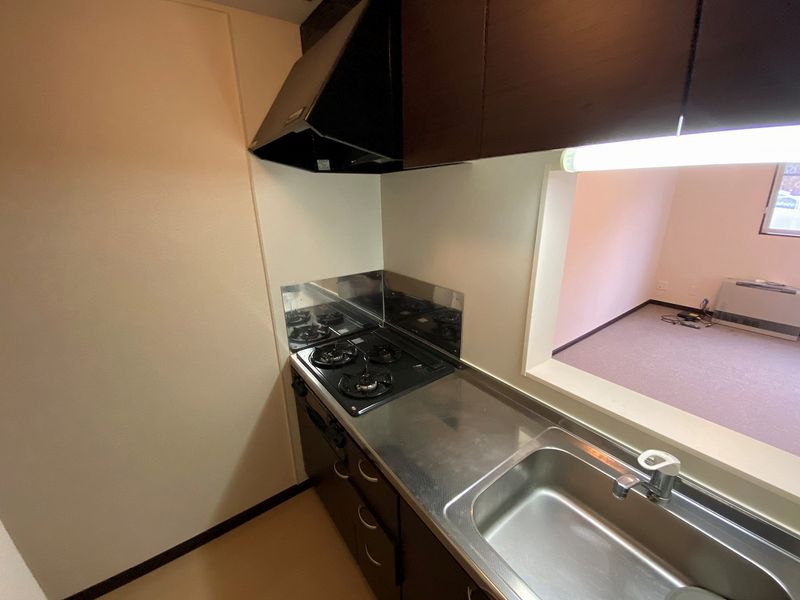 LEONEXT Hillside Ishiyama 주방