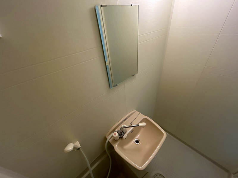 LEONEXT Park Nest Sink