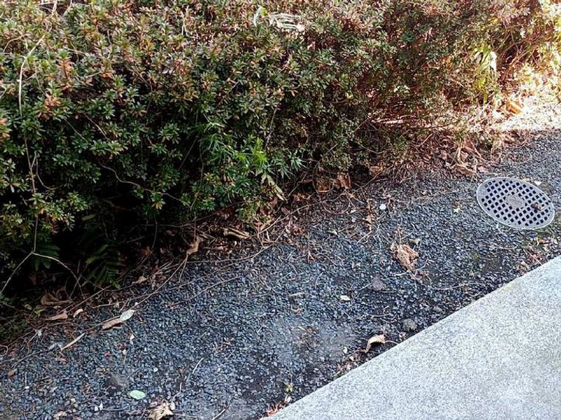 leopalace Suwafure Balcony