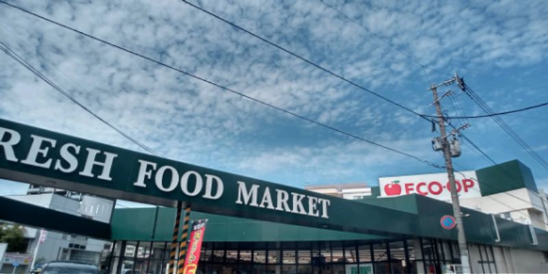 レオパレス新生 周辺環境