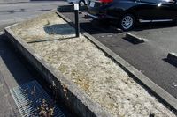 レオパレスフレア 庭