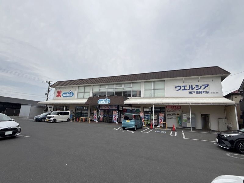 レオネクストアレグリーアⅡ 周辺環境