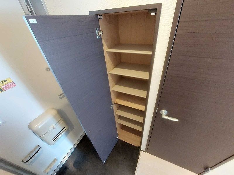 レオネクストカサ　フェリス その他