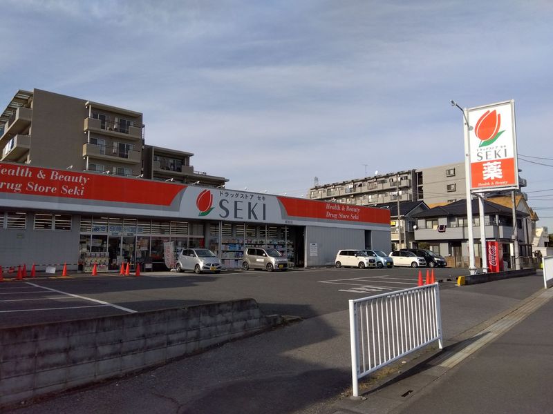 レオネクストコーポ　地純 その他
