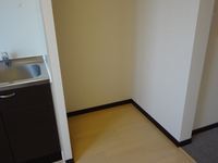 レオネクストリバーサイド花水木 キッチン