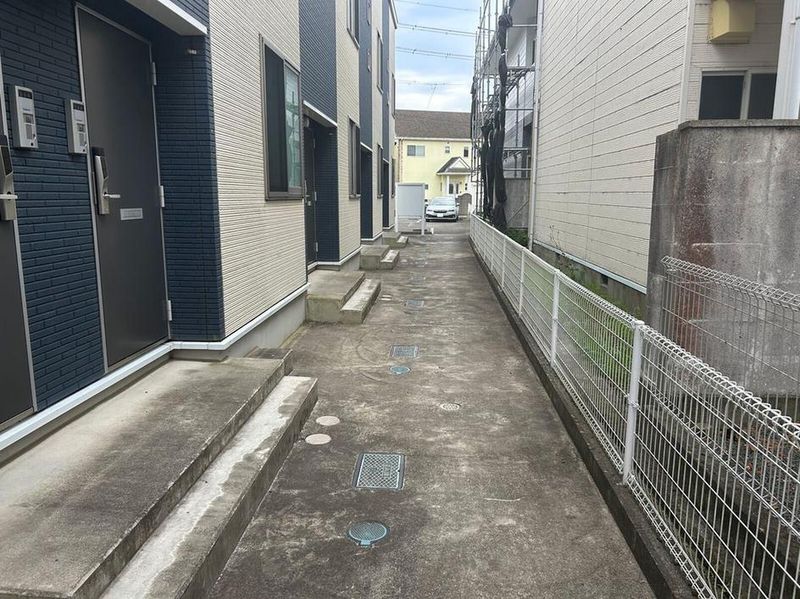 レオネクスト向光白 その他