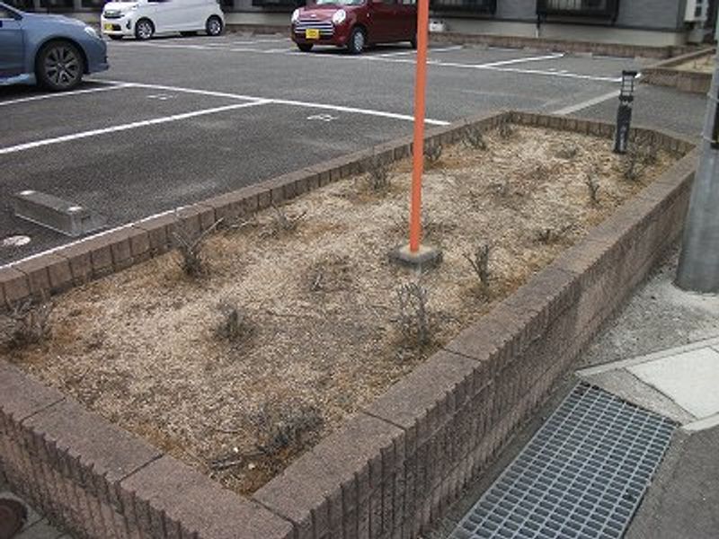 レオパレスグリーンハイツ平内Ａ 庭