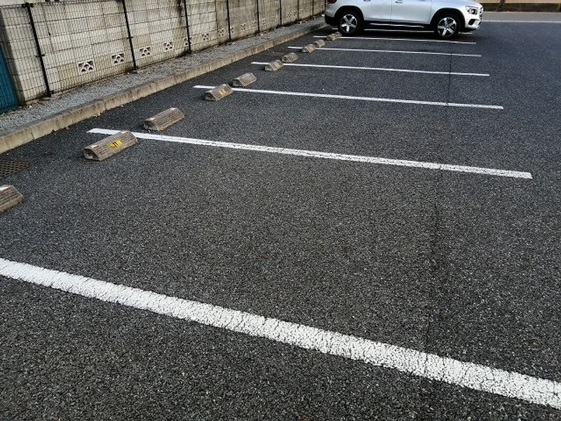 レオパレスマロニエ天神 駐車場