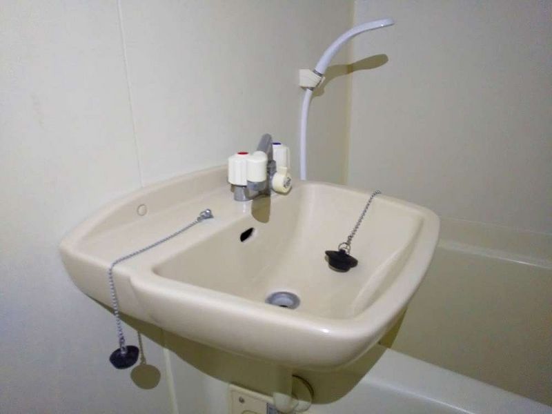 leopalace Blooming Sink