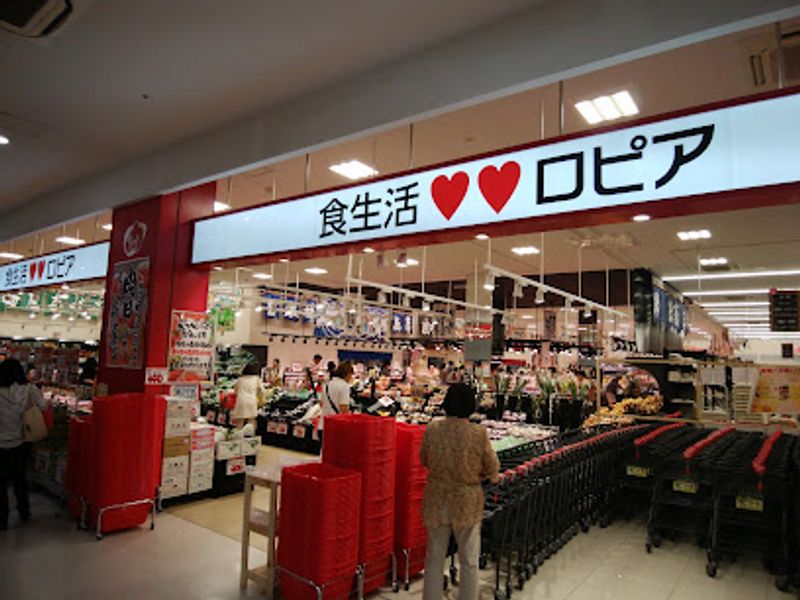 レオパレスウインドミル 周辺環境