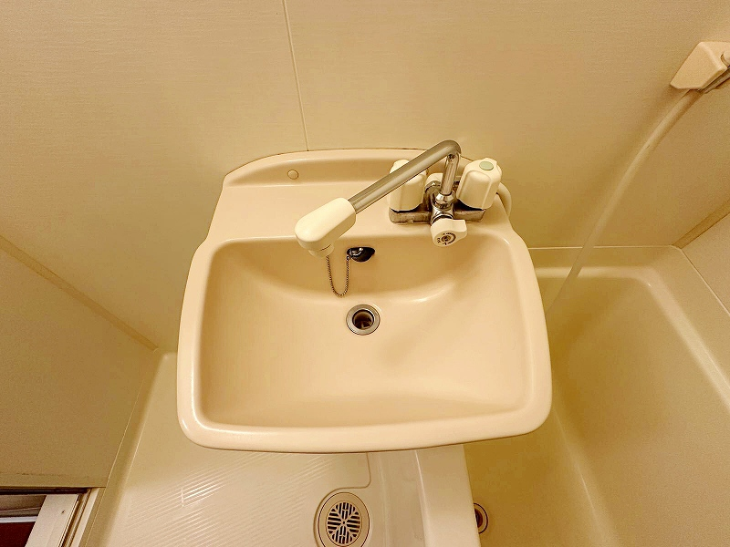 leopalace Wisteria Hirai II 세면대