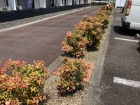 レオパレス仙石 庭
