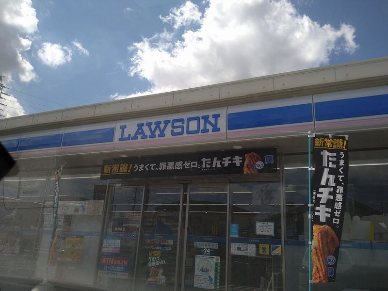 レオパレスノーブルコート久地 周辺環境